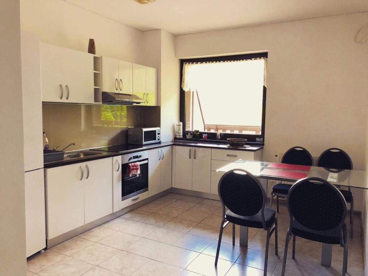 Tampa Gardens Apartment Braşov Eksteriør bilde